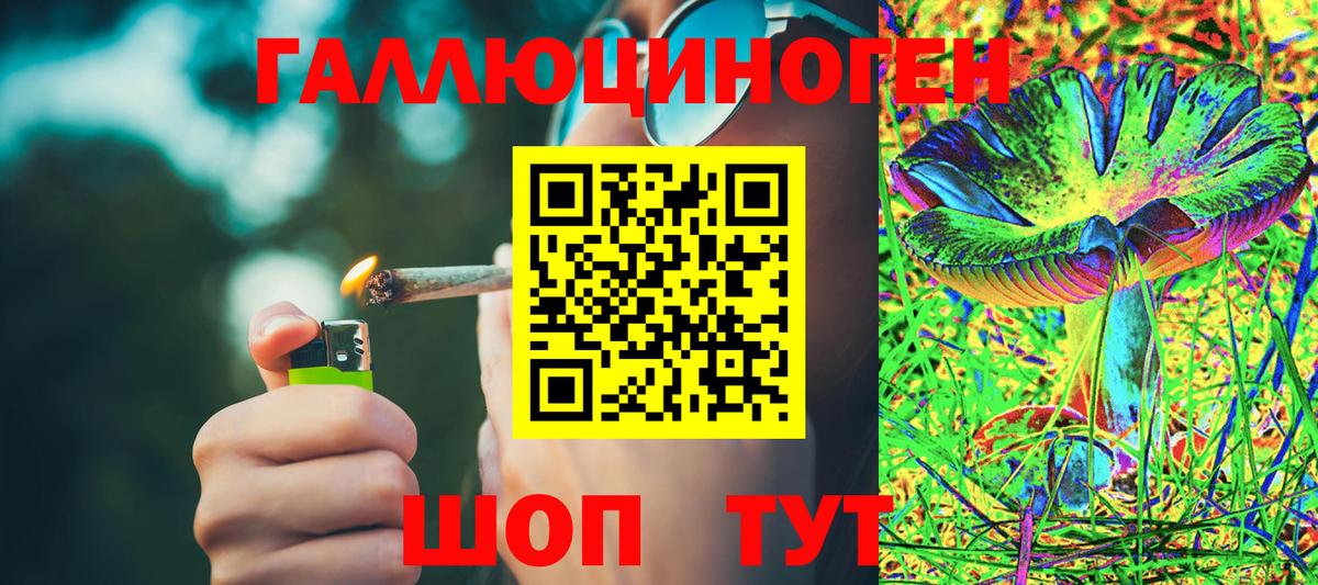 Абакан  Галлюциногенные грибы мухоморы  Вход с VPN  что такое   Псилоцибиновые грибы прущие грибы 