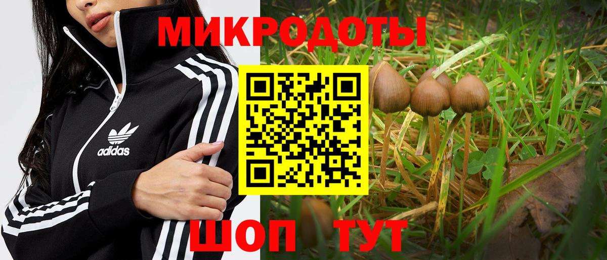 Галлюциногенные грибы MAGIC MUSHROOMS Абакан